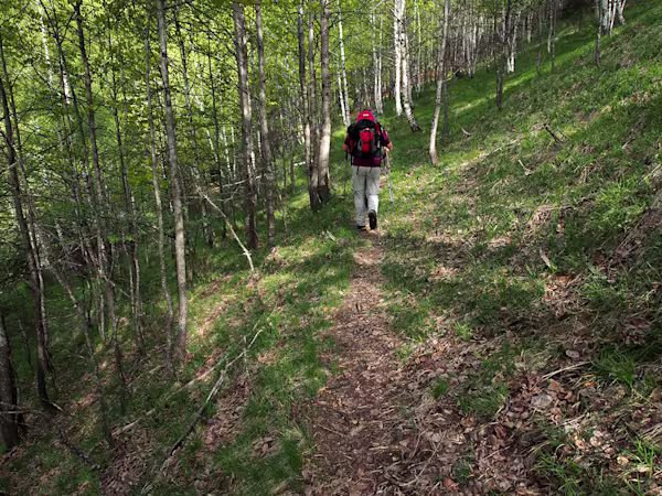 Si sale per boschi di betulle