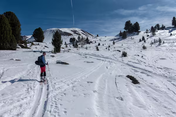 In Vista della dorsale