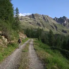 Verso l'Alp di Stabveder