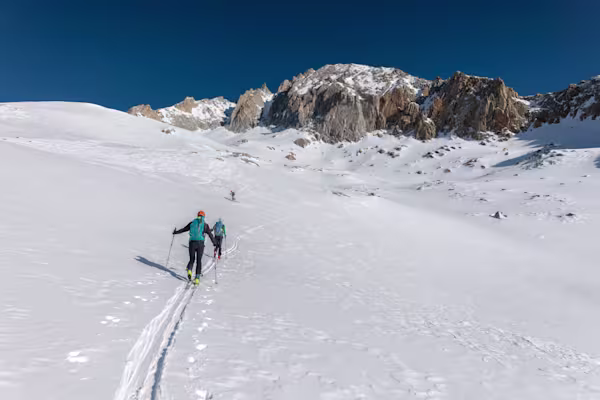 Finalmente vediamo il canale