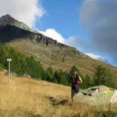 L’Alpe di Vezzeda