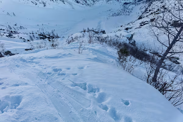 Il terreno poco agevole dopo la Piana di Stafeli