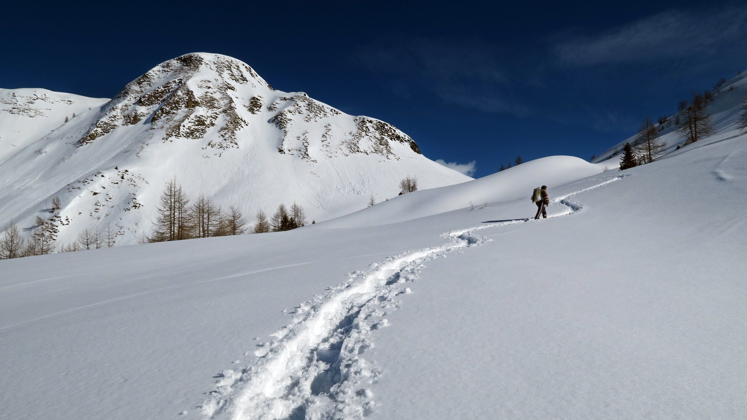 I dolci pendii innevati del Föisc