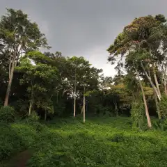 Salendo a Nyabitaba