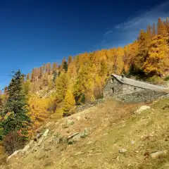 Alpe Bondolo