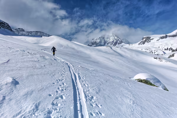 Verso la morena