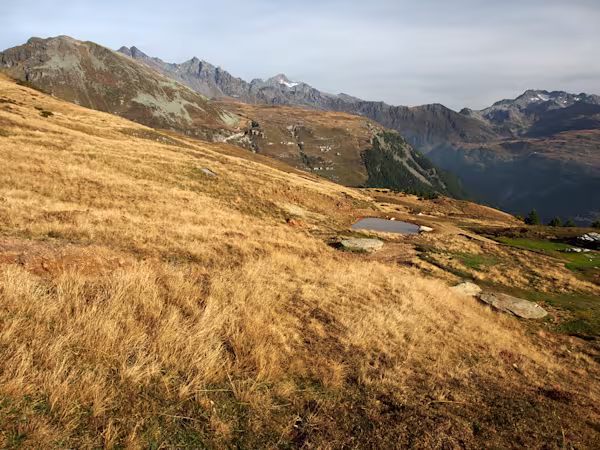 Tambò in lontananza