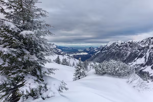 Verso il Lago dei Quattro Cantoni
