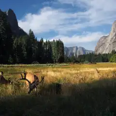 Yosemite al mattino