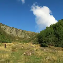 Verso l'Alpe di Vezzeda superiore