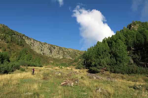 Verso l'Alpe di Vezzeda superiore