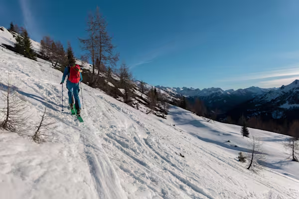 Superiamo anche il limite dei larici