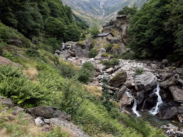 Il baitello nel torrente