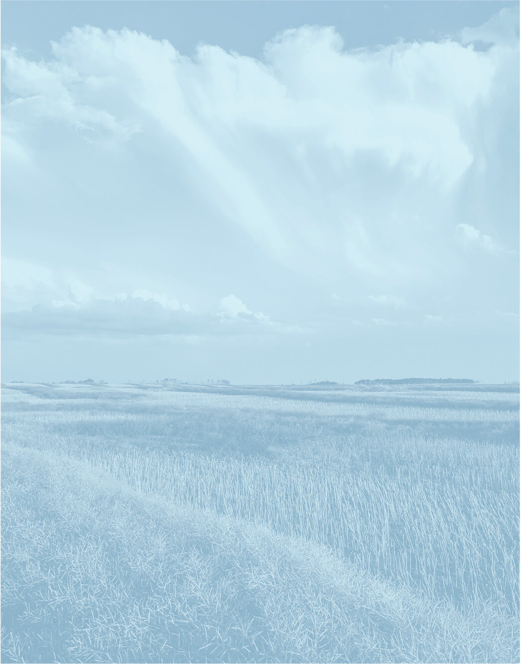 Paysage agricole relaxant avec filtre bleu.
