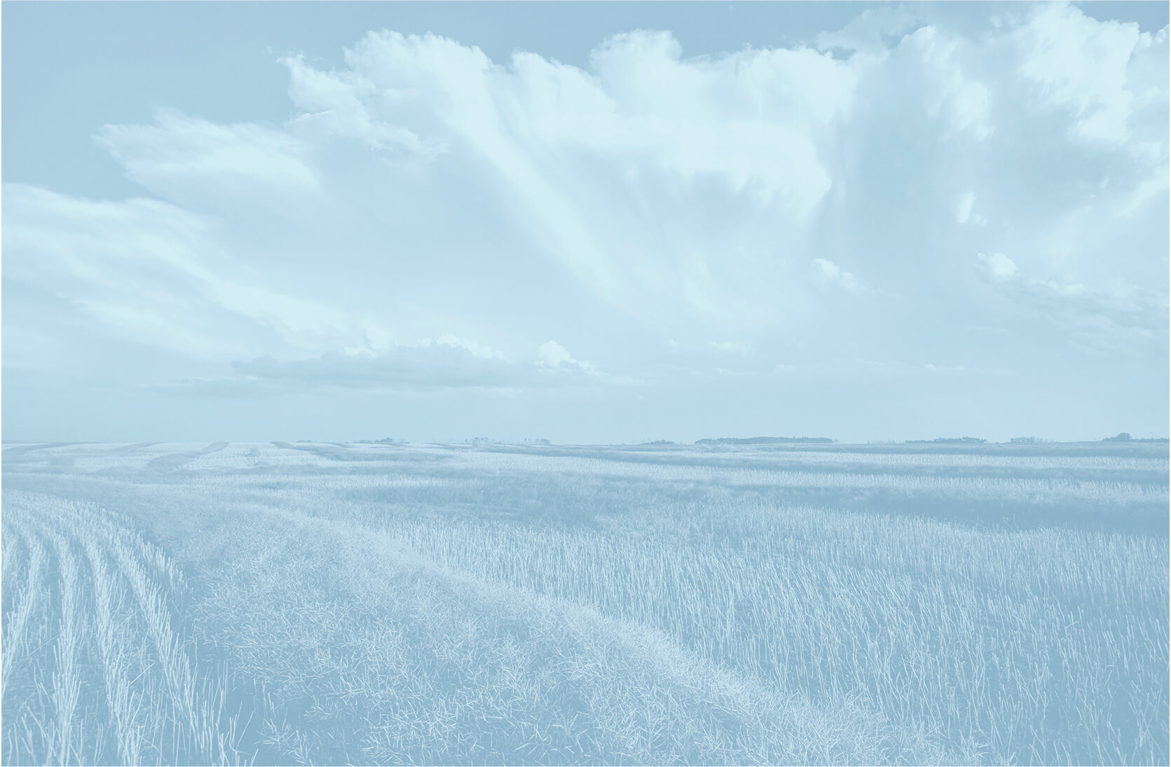 Paysage agricole relaxant avec filtre bleu.