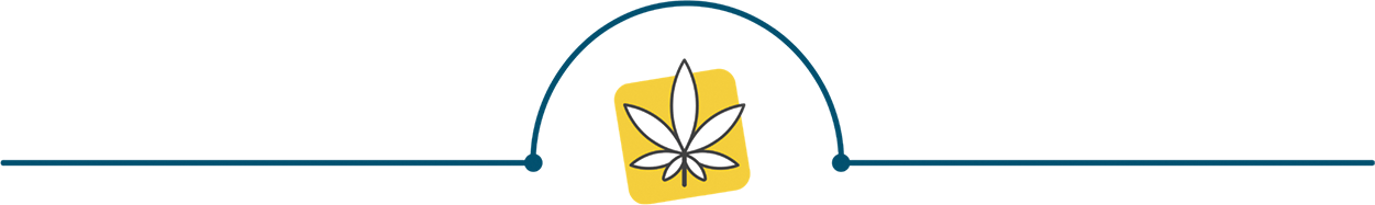 Cannabis Leaf Separating Access to Medical Cannabis and Medical Cannabis Partnerships Paragraphs. Illustration.