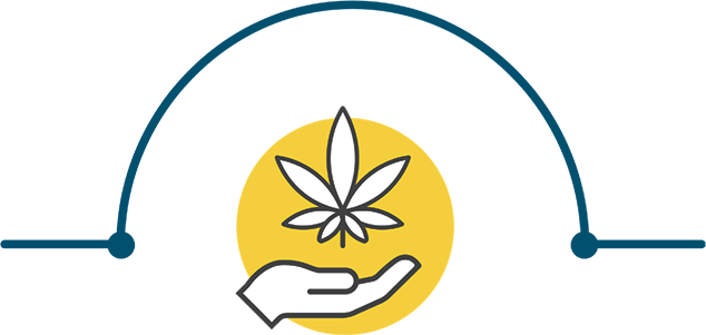 Hand Taking Cannabis Separating Medical Cannabis and Medical Condition Paragraphs. Illustration. Mobile.