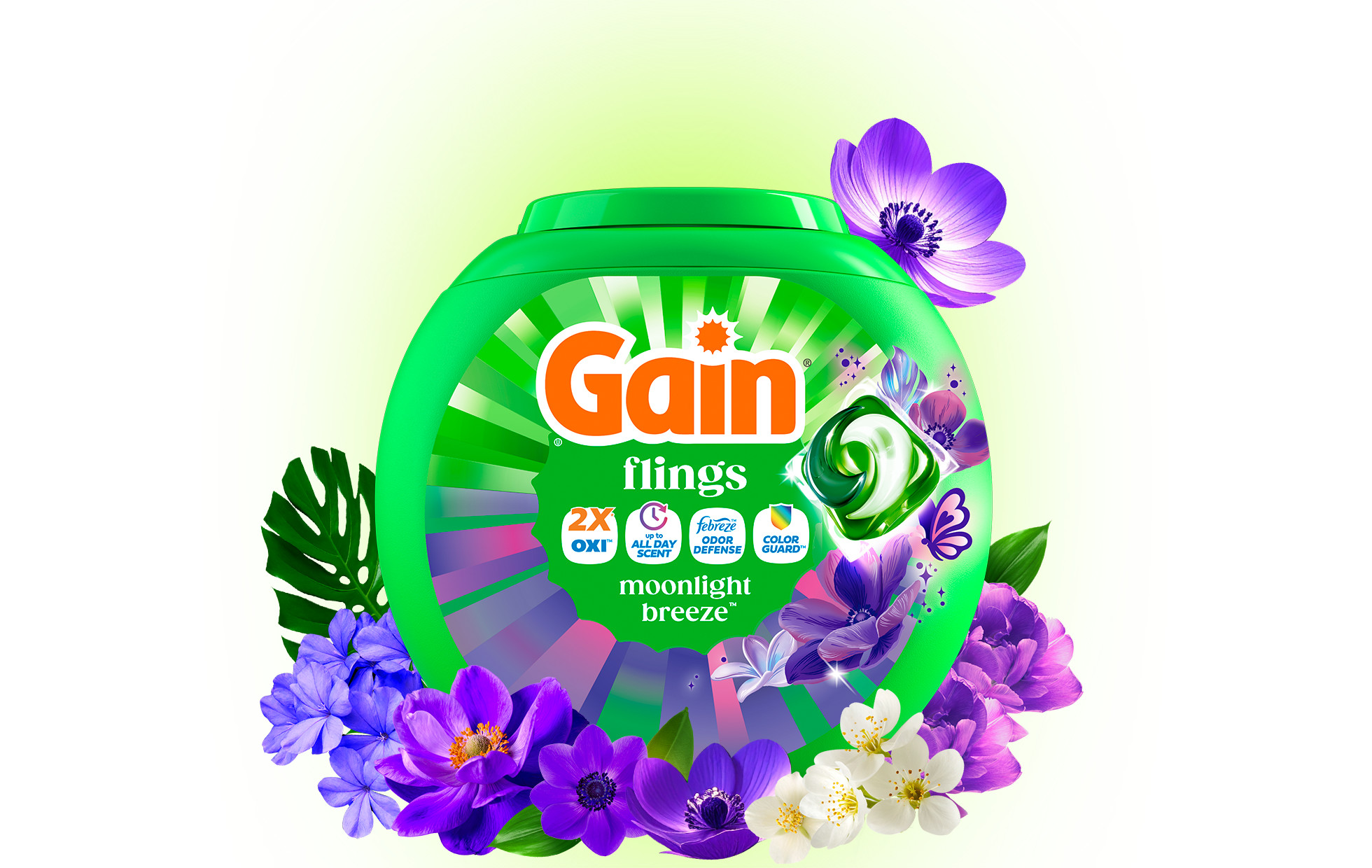 Gain Moonlight Breeze scent Laundry Products