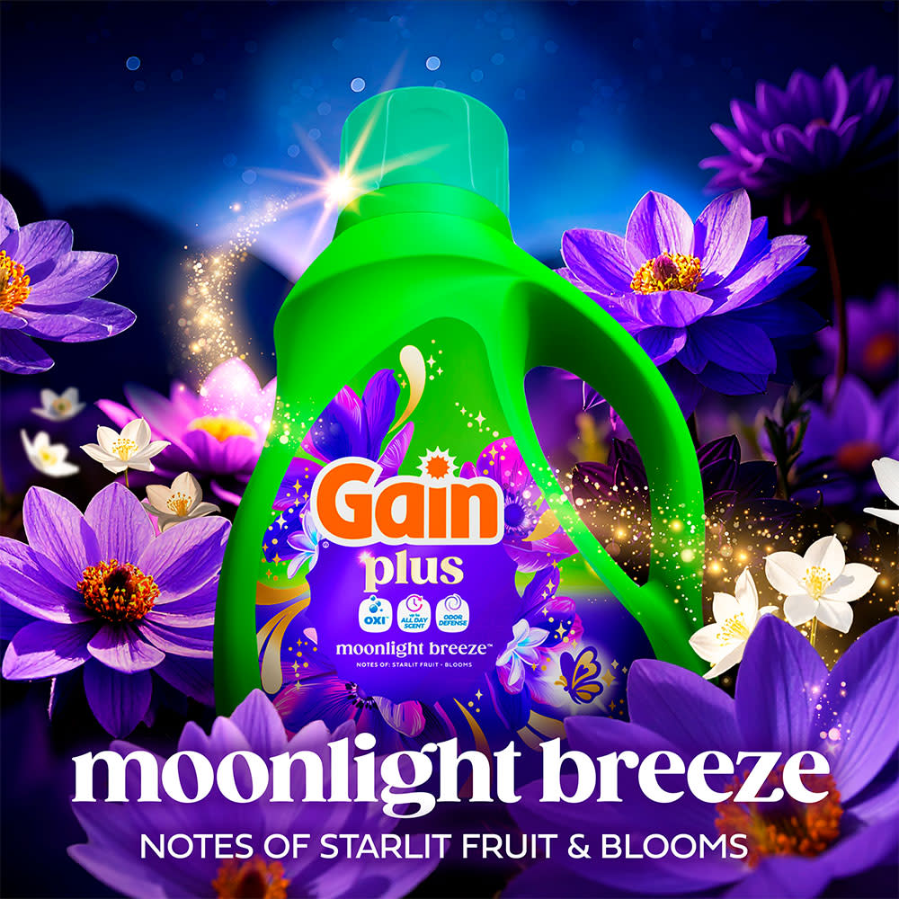 Gain Plus Moonlight Breeze Liquid Detergent