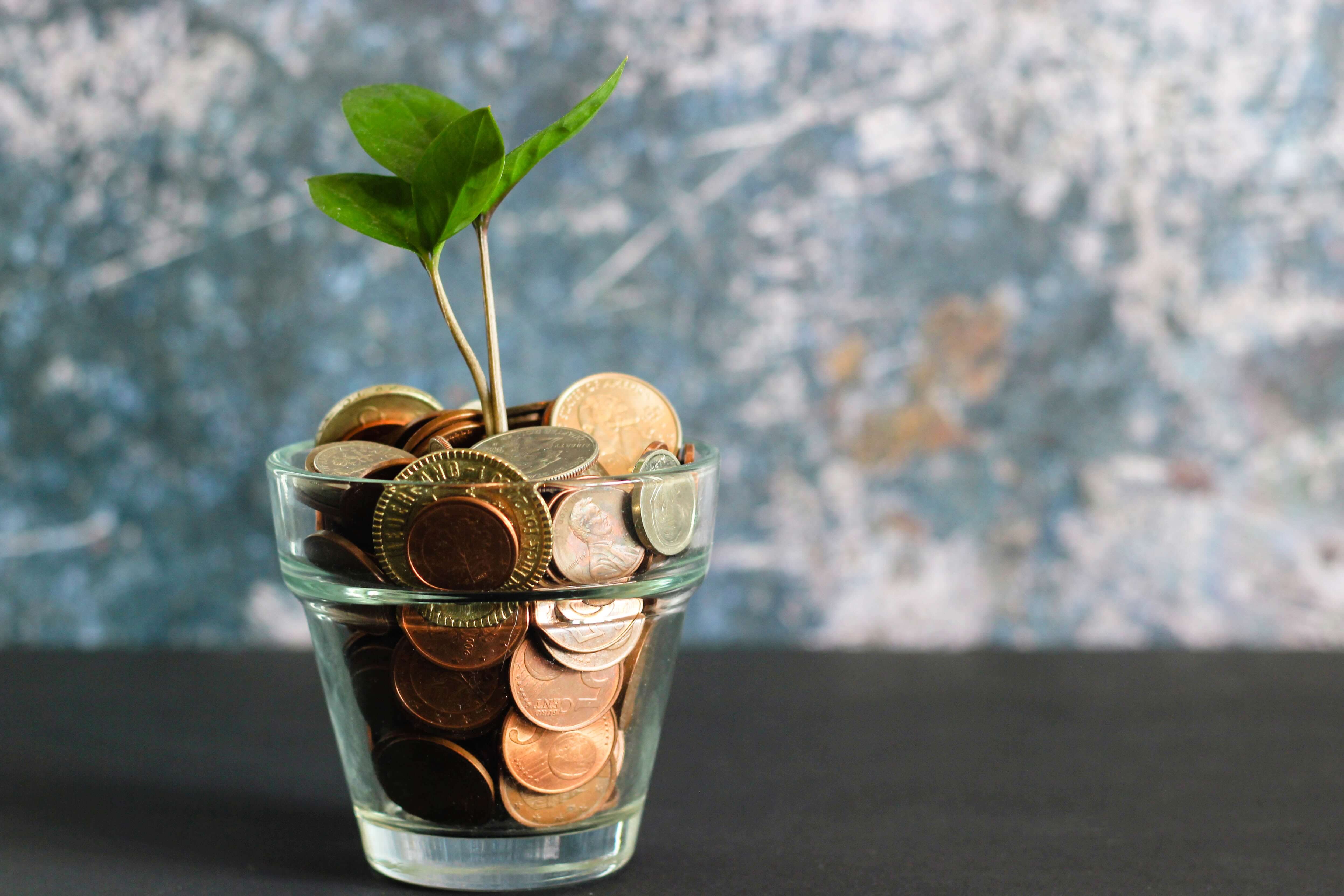 a clear glass full of coins with a plant sprouting out