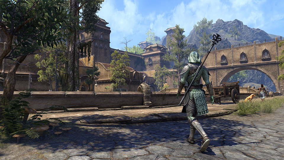 ESO ElderScrolls25 DarkElves