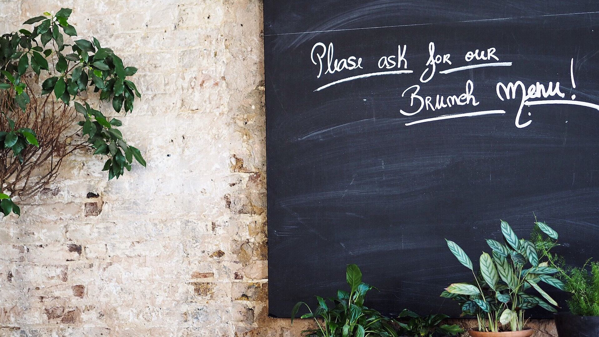 How to make a brunch menu