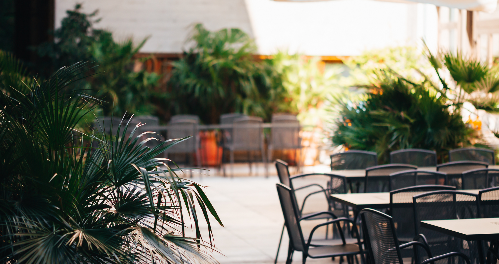 Adobe Stock 314278854 1925x1020 f0f542a