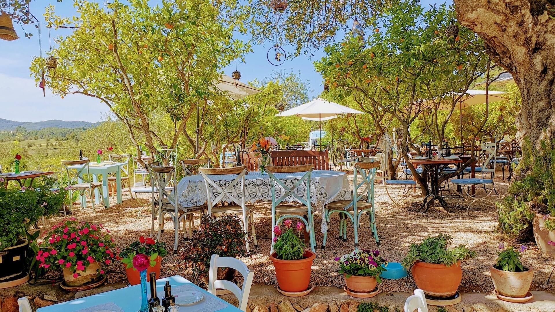 Most sustainable restaurants