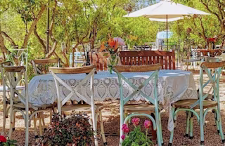 Top sustainable restaurants