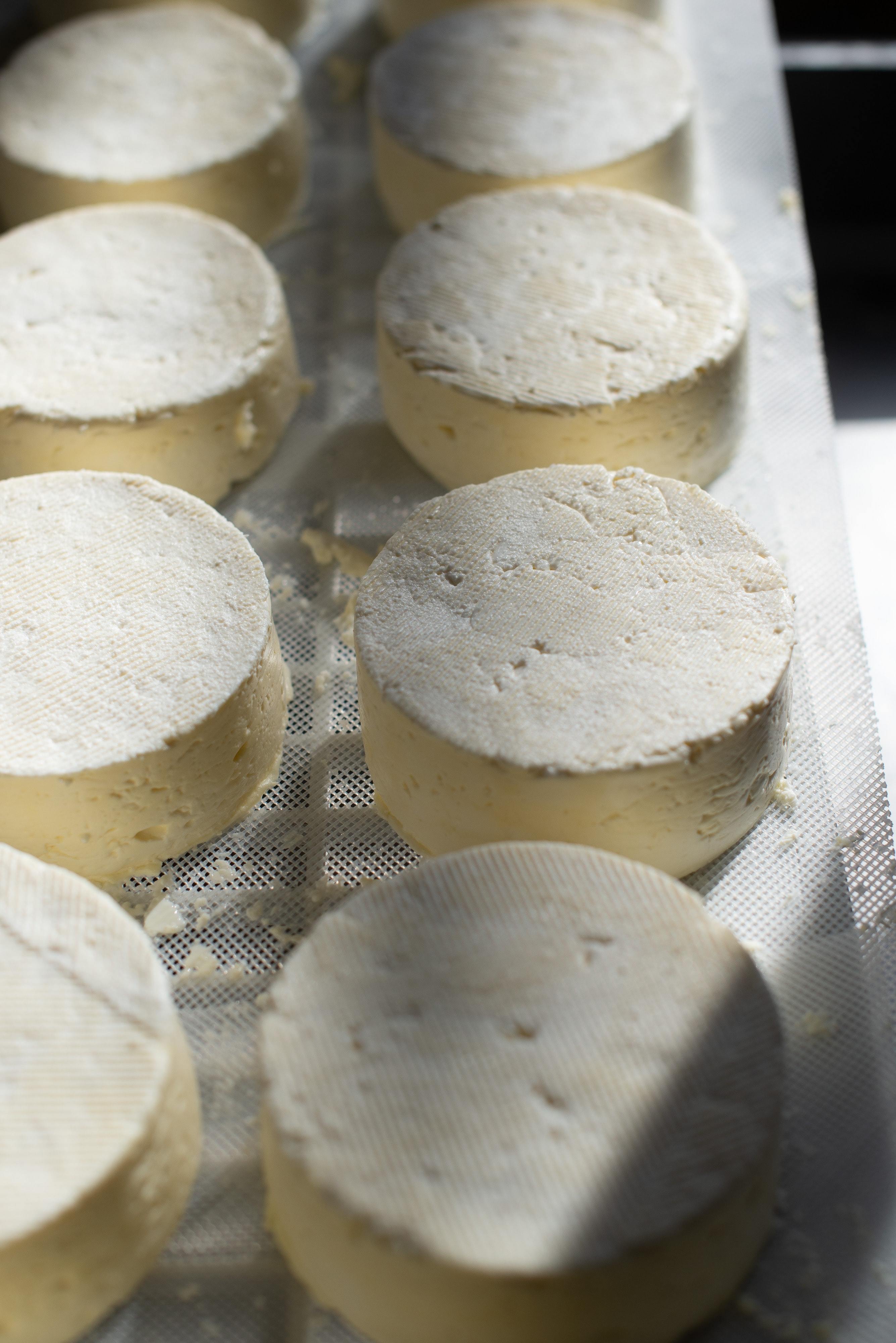 brie-soft-cheese.jpg brie-soft-cheese.jpg