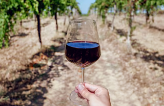 Adobe Stock 341946634 800x520 1c5eefa