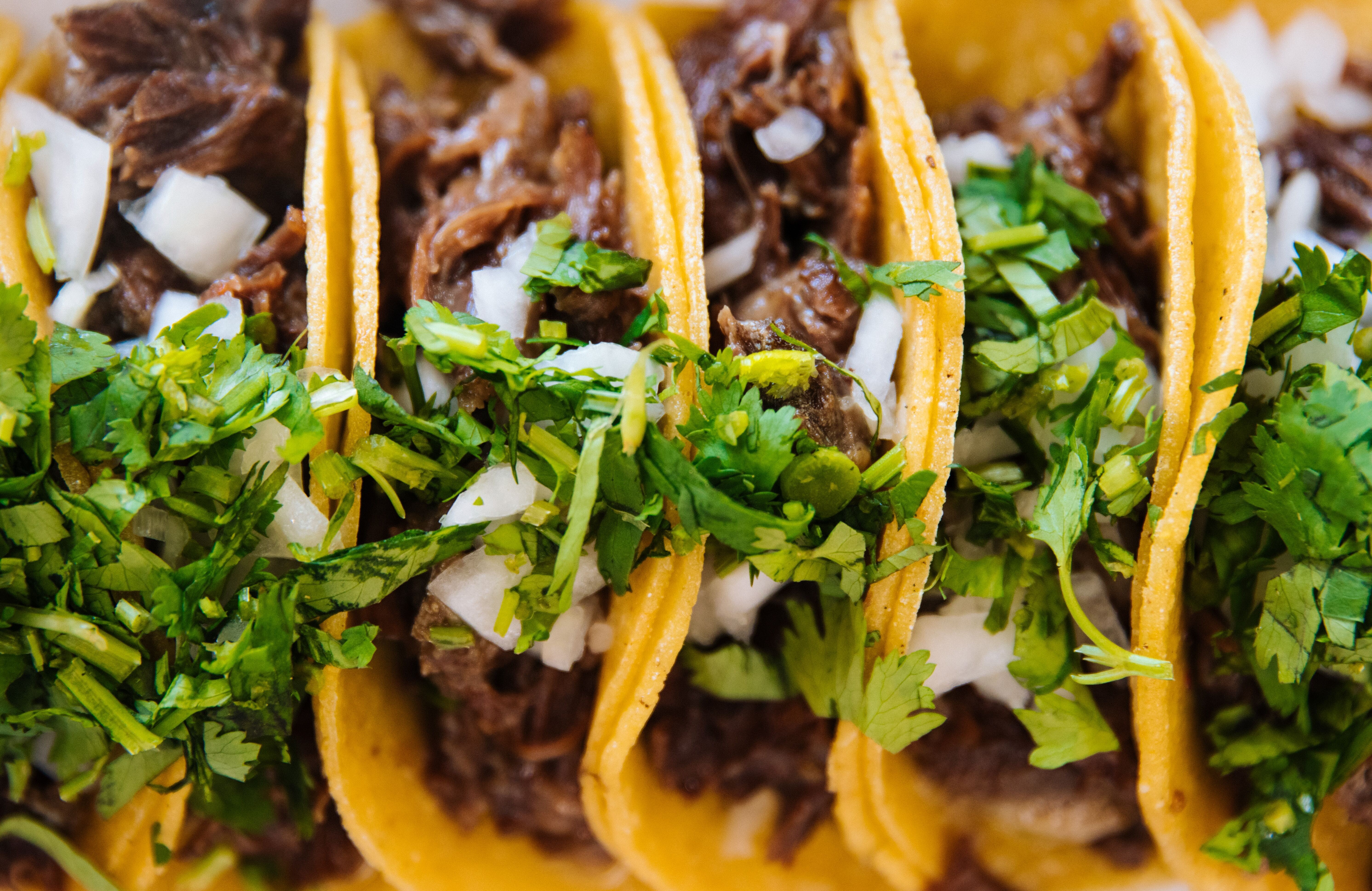 Taco Quotes and Captions