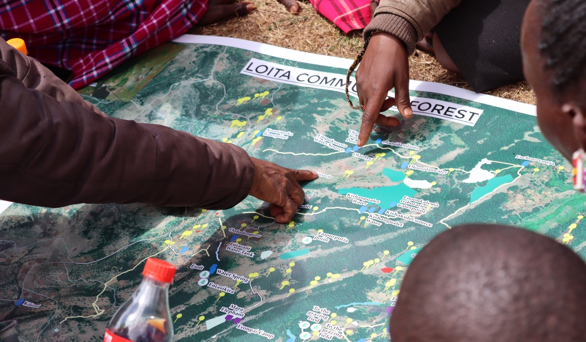 Community members from Talugo and Olgos villages reviewing maps generated from the mapping exercise at Empuruputia Secondary School on 8 August 2023 (Source: Kenya Land Alliance). 