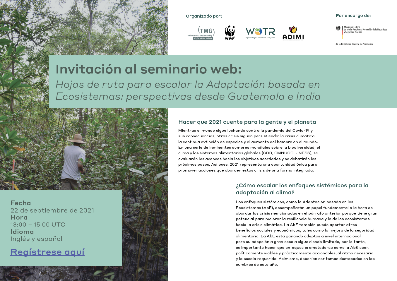 Hojas de ruta para escalar la Adaptación basada en Ecosistemas: perspectivas desde Guatemala e India