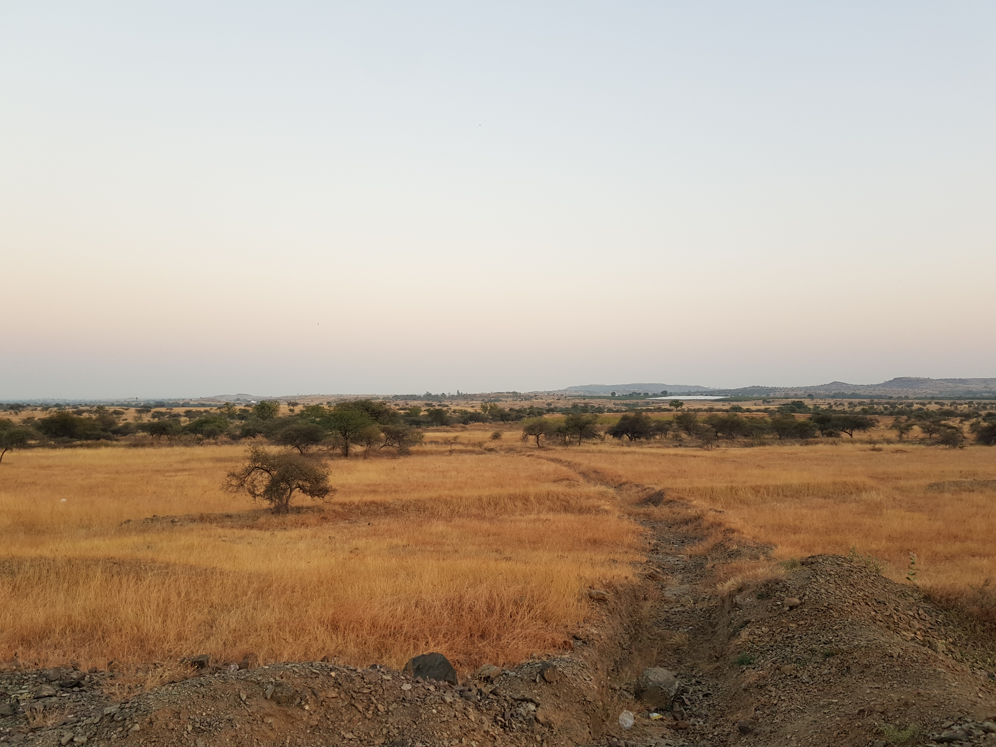 Photo: Landscape in Atpadi during dry season by TMG Research gGmbH