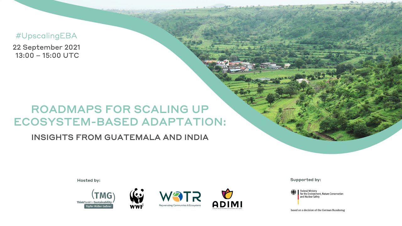 Roadmaps for scaling up Ecosystem-based Adaptation: Insights from Guatemala and India