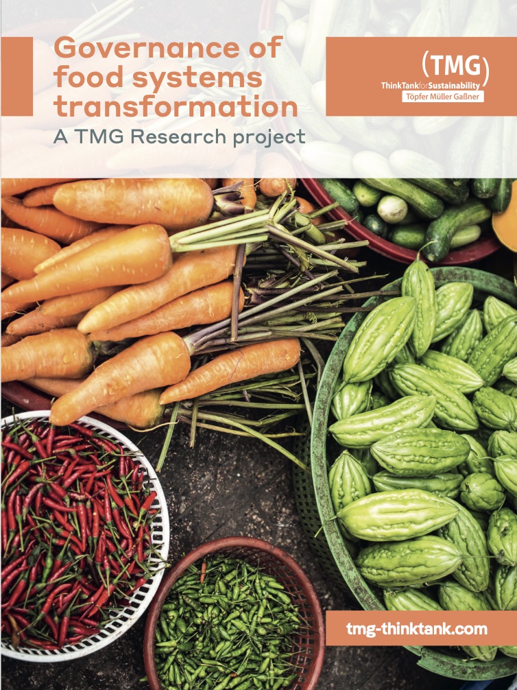 Project Overview Governance of food systems transformation