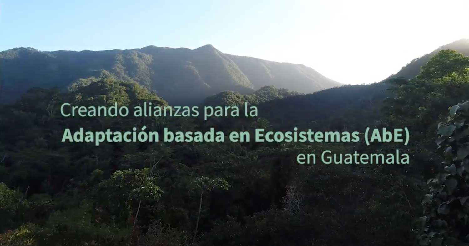 Creando alianzas para la Adaptación basada en Ecosistemas (AbE) en Guatemala