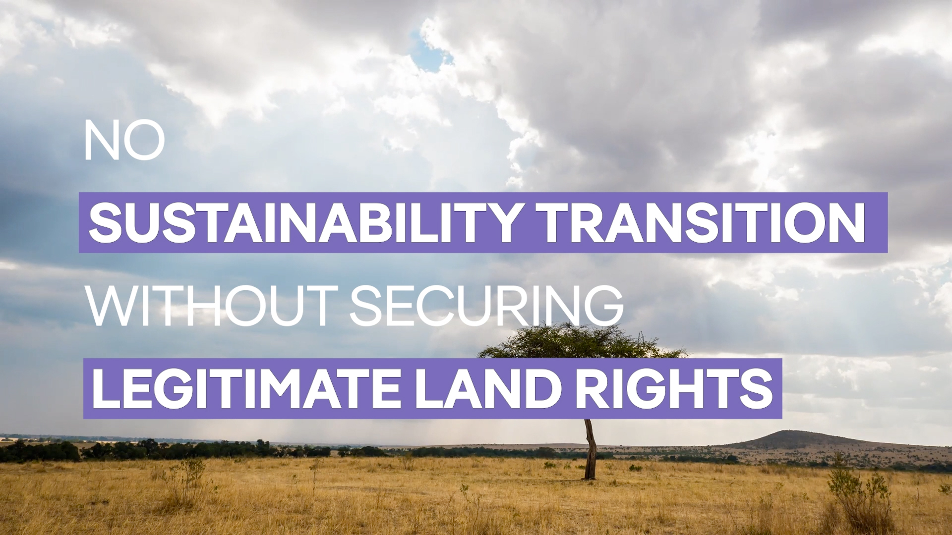 No Sustainability Transition Without Securing Legitimate Land Rights - TMG @ COP 15