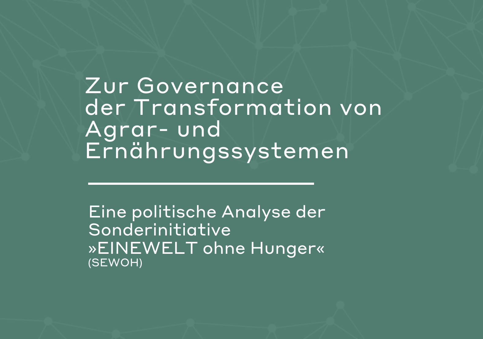 Governance in der Sonderinitiative „EINEWELT ohne Hunger“: Wer steuerte was wohin? 