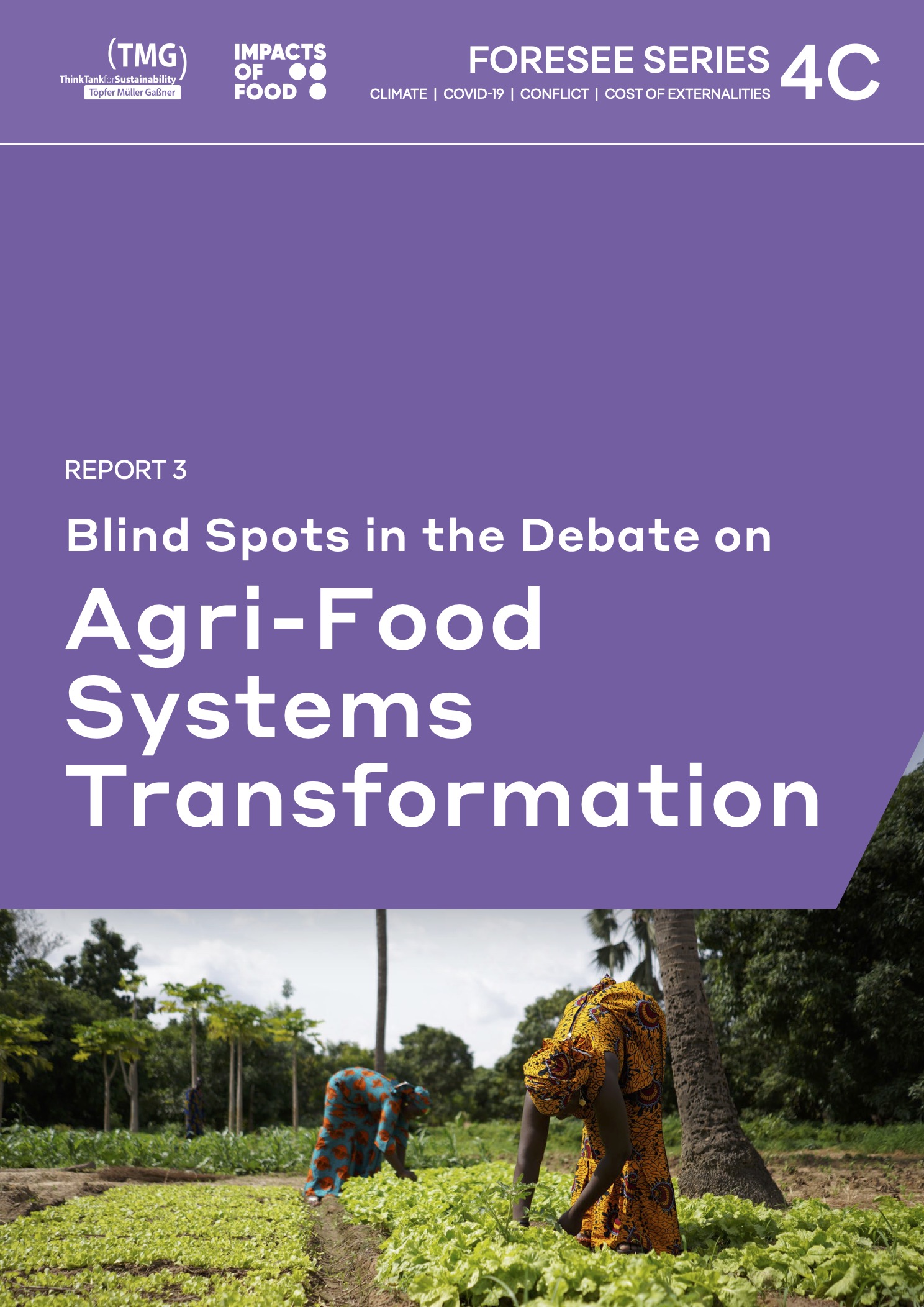 FORESEE (4C) Report 3: Blindspots in the Debate on Agri-Food System Transformation
