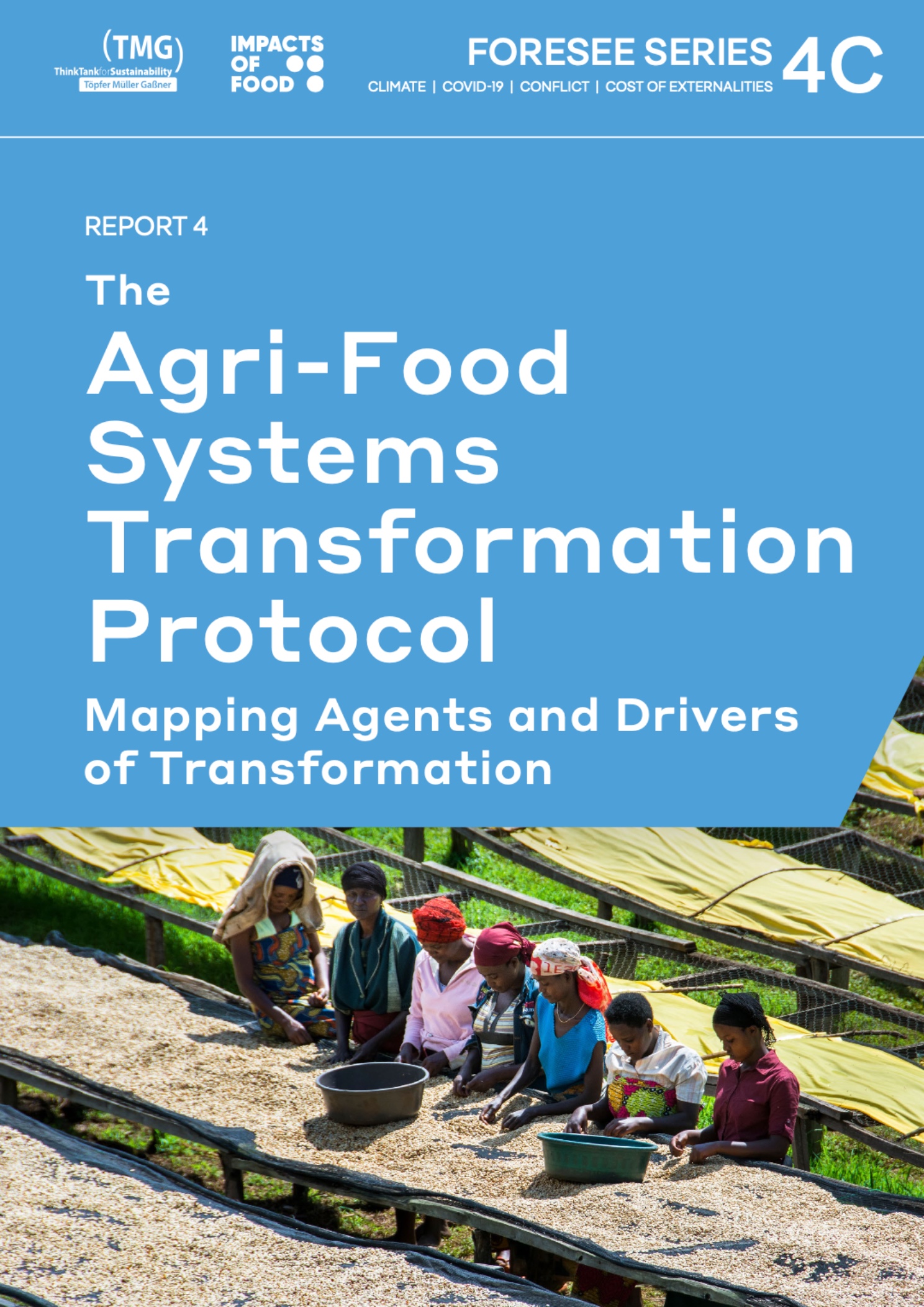 FORESEE (4C) Report 4: The Agri-Food Systems Transformation Protocol - Mapping Agents and Drivers of Transformation