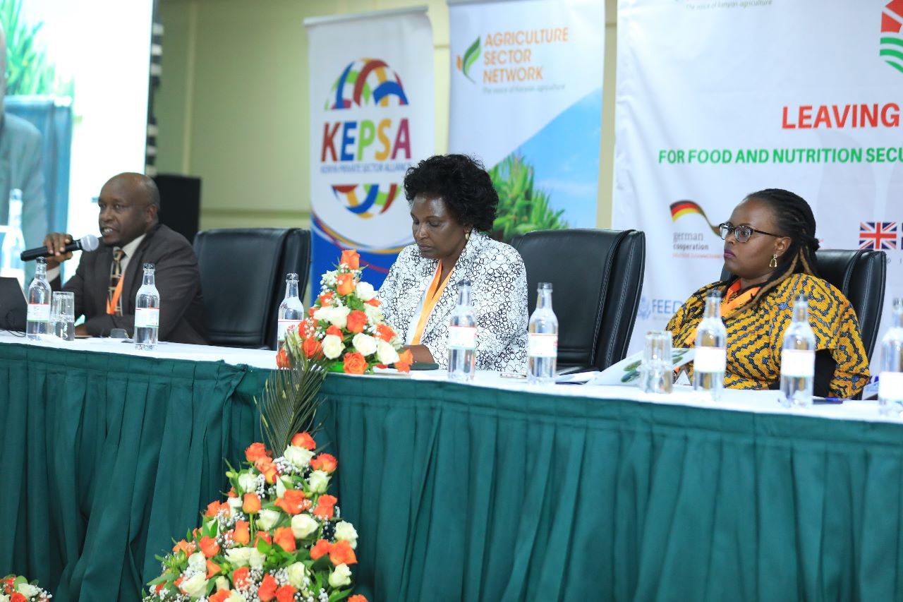 Food systems governance in Kenya: leaving no one behind