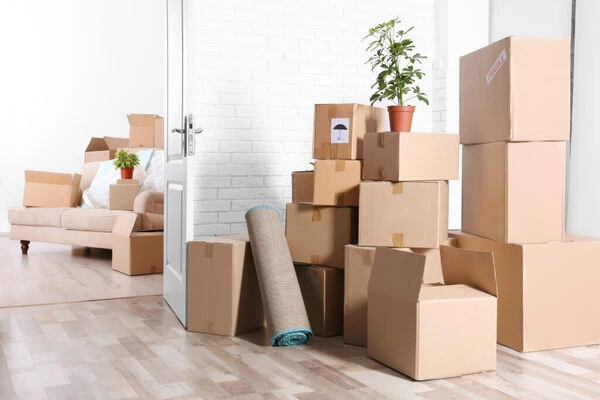 disadvantage of relocation