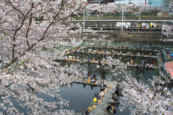 Go fishing without having to leave Tokyo