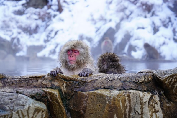 Onsen Japan
