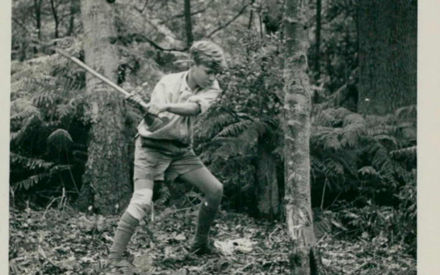 Richard Branson as a young boy chopping down a tree
