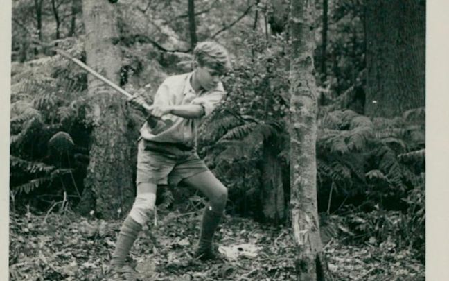 Richard Branson as a young boy chopping down a tree Richard Branson as a young boy chopping down a tree