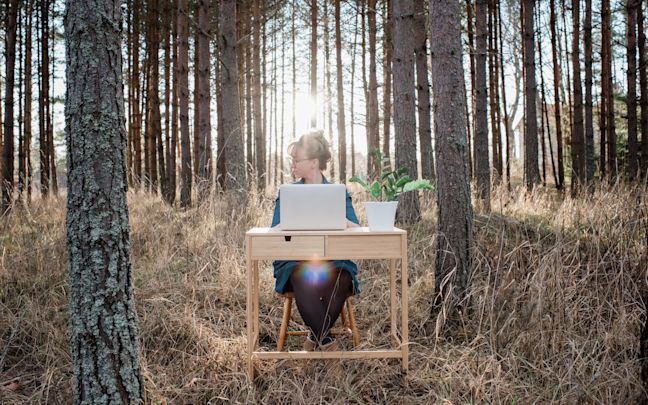 Getty Images Getty Images