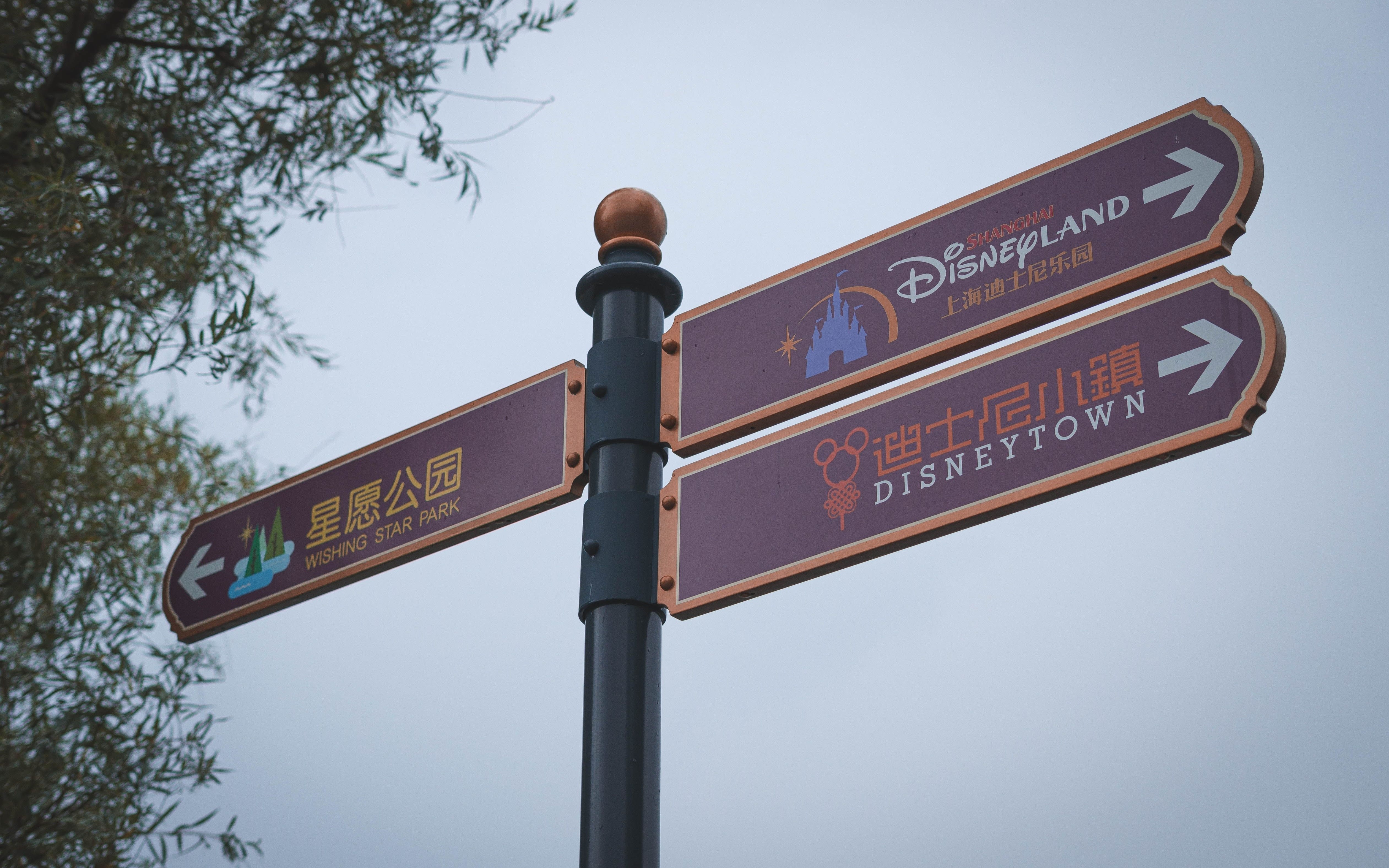 A picture of signs in Shanghai Disneyland